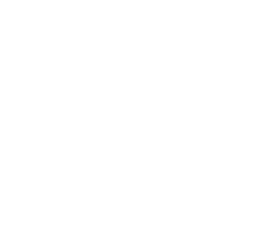 SAXNDI